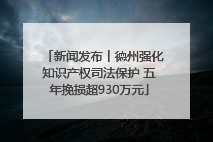 新闻发布丨德州强化知识产权司法保护 五年挽损超930万元