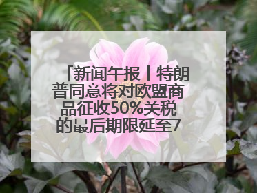 新闻午报丨特朗普同意将对欧盟商品征收50%关税的最后期限延至7月9日；00后舞蹈老师“花式”推介家乡岳阳>>