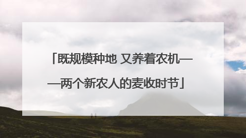 既规模种地 又养着农机——两个新农人的麦收时节
