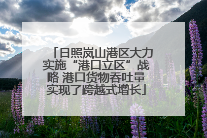 日照岚山港区大力实施“港口立区”战略 港口货物吞吐量实现了跨越式增长