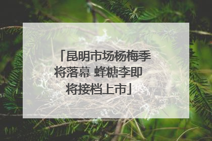 昆明市场杨梅季将落幕 蜂糖李即将接档上市