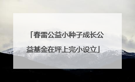 春雷公益小种子成长公益基金在坪上完小设立