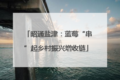 昭通盐津：蓝莓“串”起乡村振兴增收链
