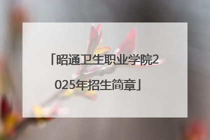 昭通卫生职业学院2025年招生简章