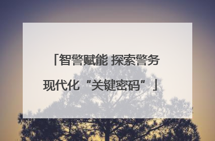 智警赋能 探索警务现代化“关键密码”