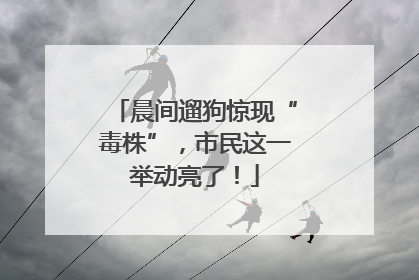 晨间遛狗惊现“毒株”，市民这一举动亮了！