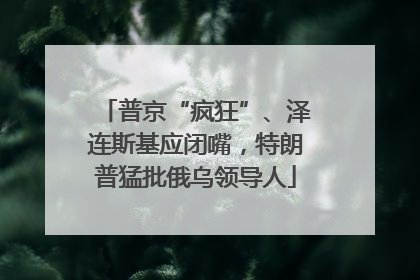 普京“疯狂”、泽连斯基应闭嘴，特朗普猛批俄乌领导人