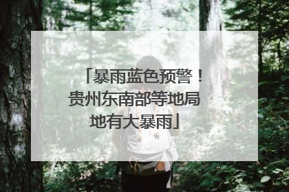 暴雨蓝色预警！贵州东南部等地局地有大暴雨