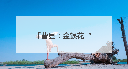 曹县：金银花“三产融合”托起乡村振兴致富梦