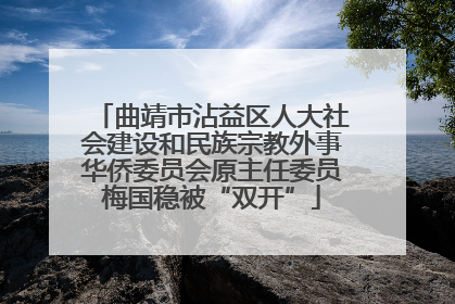 曲靖市沾益区人大社会建设和民族宗教外事华侨委员会原主任委员梅国稳被“双开”