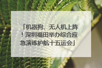 机器狗、无人机上阵！深圳福田举办综合应急演练护航十五运会