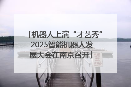 机器人上演“才艺秀” 2025智能机器人发展大会在南京召开