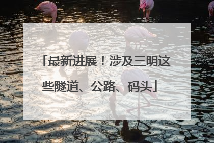 最新进展！涉及三明这些隧道、公路、码头