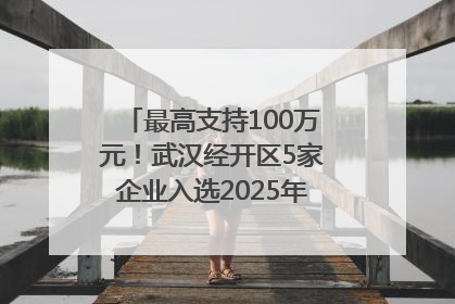 最高支持100万元！武汉经开区5家企业入选2025年度武汉市重点研发计划拟立项项目名单