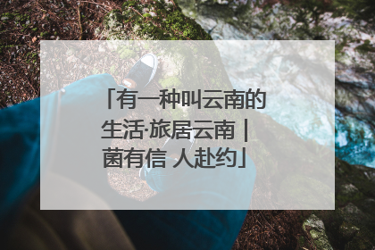 有一种叫云南的生活·旅居云南｜菌有信 人赴约