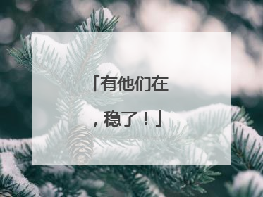 有他们在，稳了！