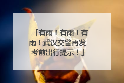 有雨！有雨！有雨！武汉交警再发考前出行提示！