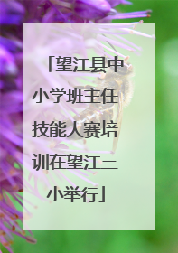 望江县中小学班主任技能大赛培训在望江三小举行
