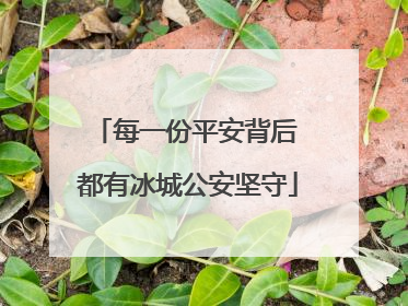 每一份平安背后 都有冰城公安坚守