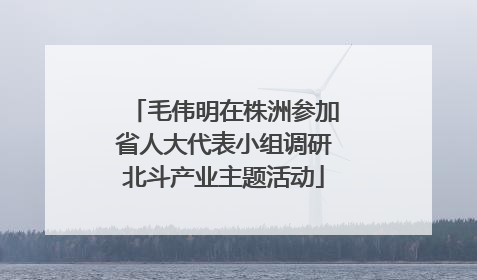 毛伟明在株洲参加省人大代表小组调研北斗产业主题活动