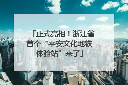 正式亮相！浙江省首个“平安文化地铁体验站”来了