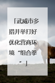 武威市多措并举打好优化营商环境“组合拳”