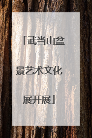 武当山盆景艺术文化展开展