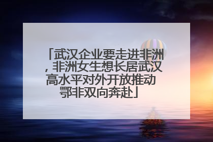 武汉企业要走进非洲，非洲女生想长居武汉 高水平对外开放推动鄂非双向奔赴