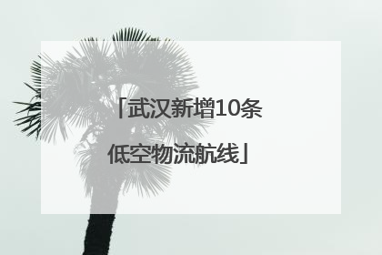 武汉新增10条低空物流航线