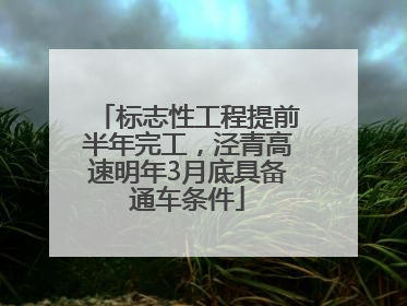 标志性工程提前半年完工，泾青高速明年3月底具备通车条件