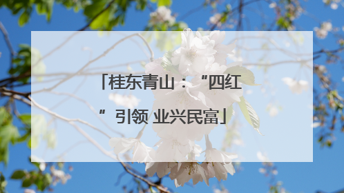 桂东青山：“四红”引领 业兴民富
