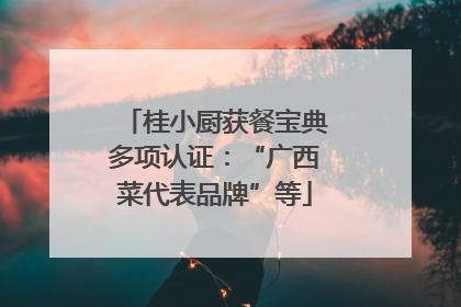 桂小厨获餐宝典多项认证：“广西菜代表品牌”等