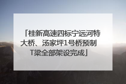 桂新高速四标宁远河特大桥、汤家坪1号桥预制T梁全部架设完成