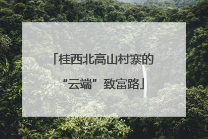 桂西北高山村寨的“云端”致富路