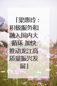 梁惠玲：积极服务和融入国内大循环 加快推动龙江高质量振兴发展