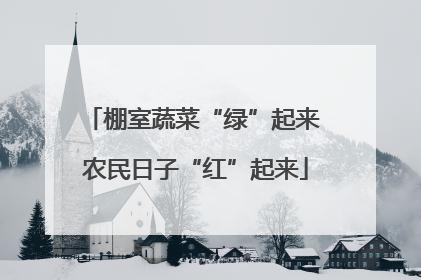 棚室蔬菜“绿”起来 农民日子“红”起来
