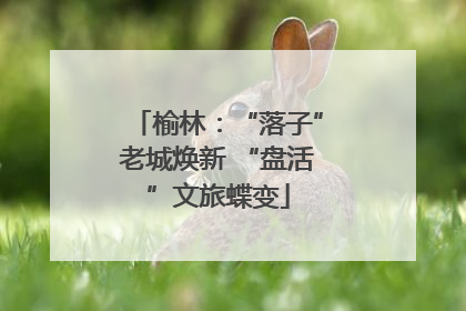 榆林：“落子”老城焕新 “盘活”文旅蝶变