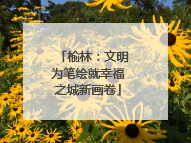 榆林：文明为笔绘就幸福之城新画卷