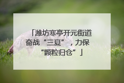 潍坊寒亭开元街道奋战“三夏”，力保“颗粒归仓”