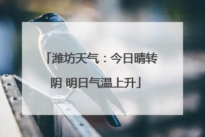 潍坊天气：今日晴转阴 明日气温上升