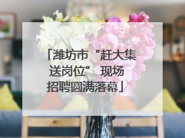 潍坊市“赶大集 送岗位” 现场招聘圆满落幕