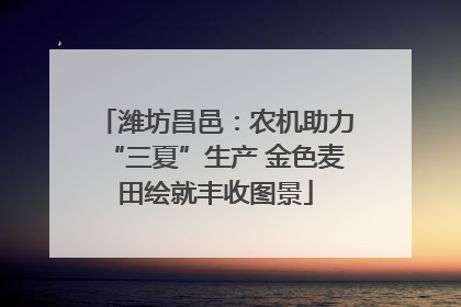 潍坊昌邑：农机助力“三夏”生产 金色麦田绘就丰收图景