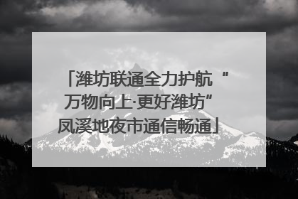 潍坊联通全力护航“万物向上·更好潍坊”凤溪地夜市通信畅通