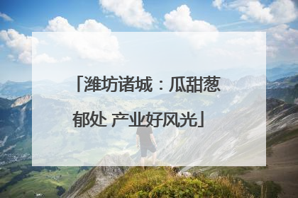 潍坊诸城：瓜甜葱郁处 产业好风光