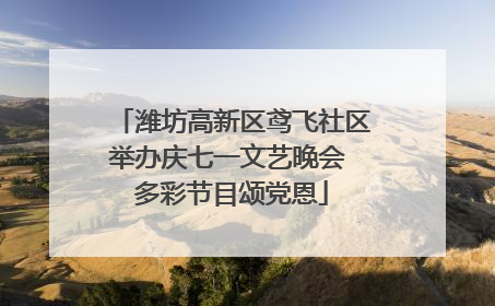 潍坊高新区鸢飞社区举办庆七一文艺晚会 多彩节目颂党恩
