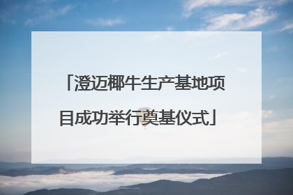 澄迈椰牛生产基地项目成功举行奠基仪式