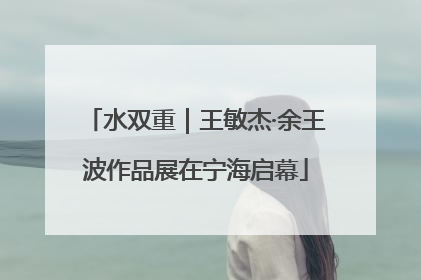 水双重｜王敏杰·余王波作品展在宁海启幕