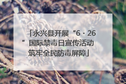 永兴县开展“6・26”国际禁毒日宣传活动 筑牢全民防毒屏障