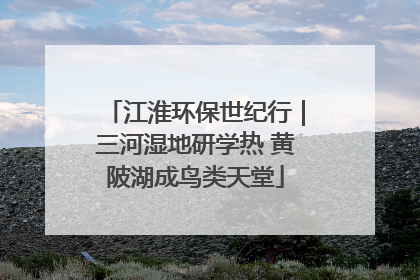 江淮环保世纪行｜三河湿地研学热 黄陂湖成鸟类天堂
