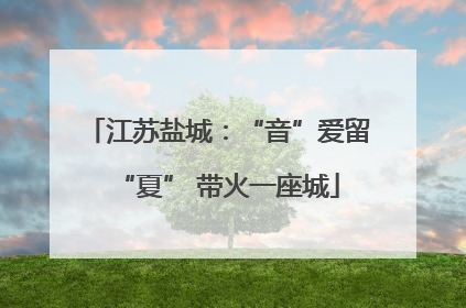 江苏盐城：“音”爱留“夏” 带火一座城